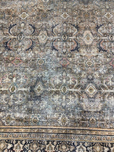 Load image into Gallery viewer, Giacinto Oriental Olive/Charcoal Area Rug #1438HW
