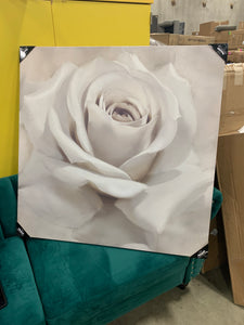 Rose canvas #AD370