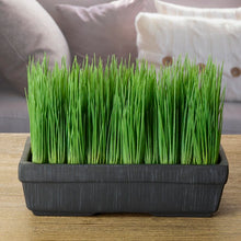Load image into Gallery viewer, SET OF 4! Artificial Succulent Grass in Planter 145CDR

