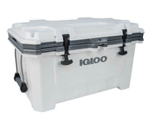 Load image into Gallery viewer, Igloo IMX 70qt Hard-sided portable cooler-White #3108
