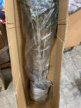 Load image into Gallery viewer, 72&quot; H x 35&quot; W x 35&quot; D Artificial Olive Tree in Pot *AS IS #1480HW
