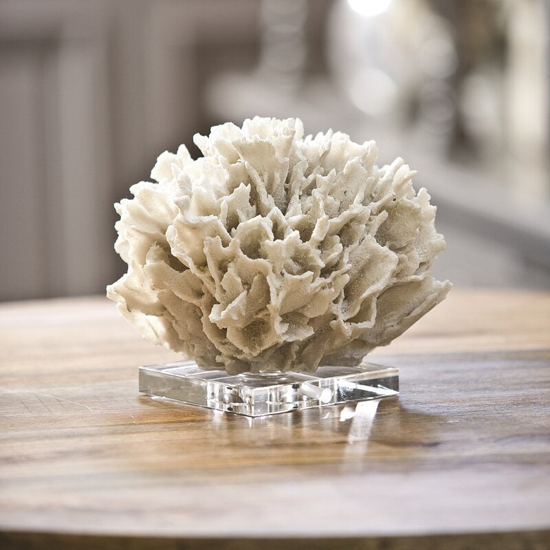 Decorative Ribbon Coral on Crystal Base(1722RR)