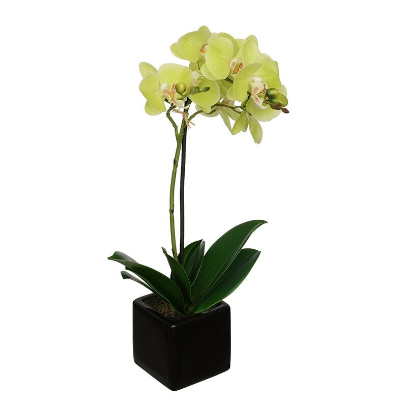 Artificial Baby Orchids Floral Arrangement in Pot 26 CDR