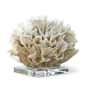 Decorative Ribbon Coral on Crystal Base(1722RR)