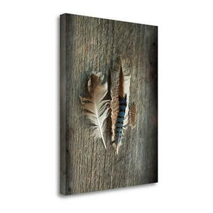 Feather Collection III - Canvas Print, MINI 8×12