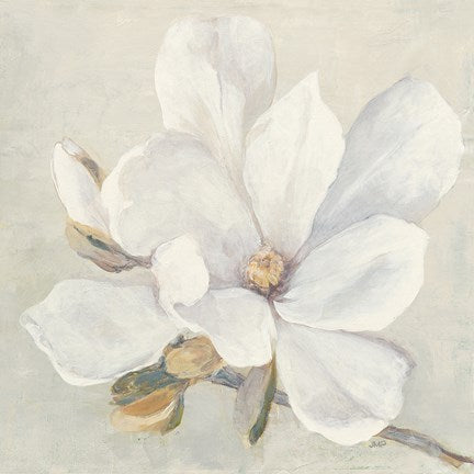 Julia Purinton Serene Magnolia 30