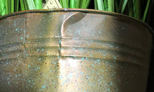 Load image into Gallery viewer, 37&quot; Green Cherry Blossom in Iron Pot #9594
